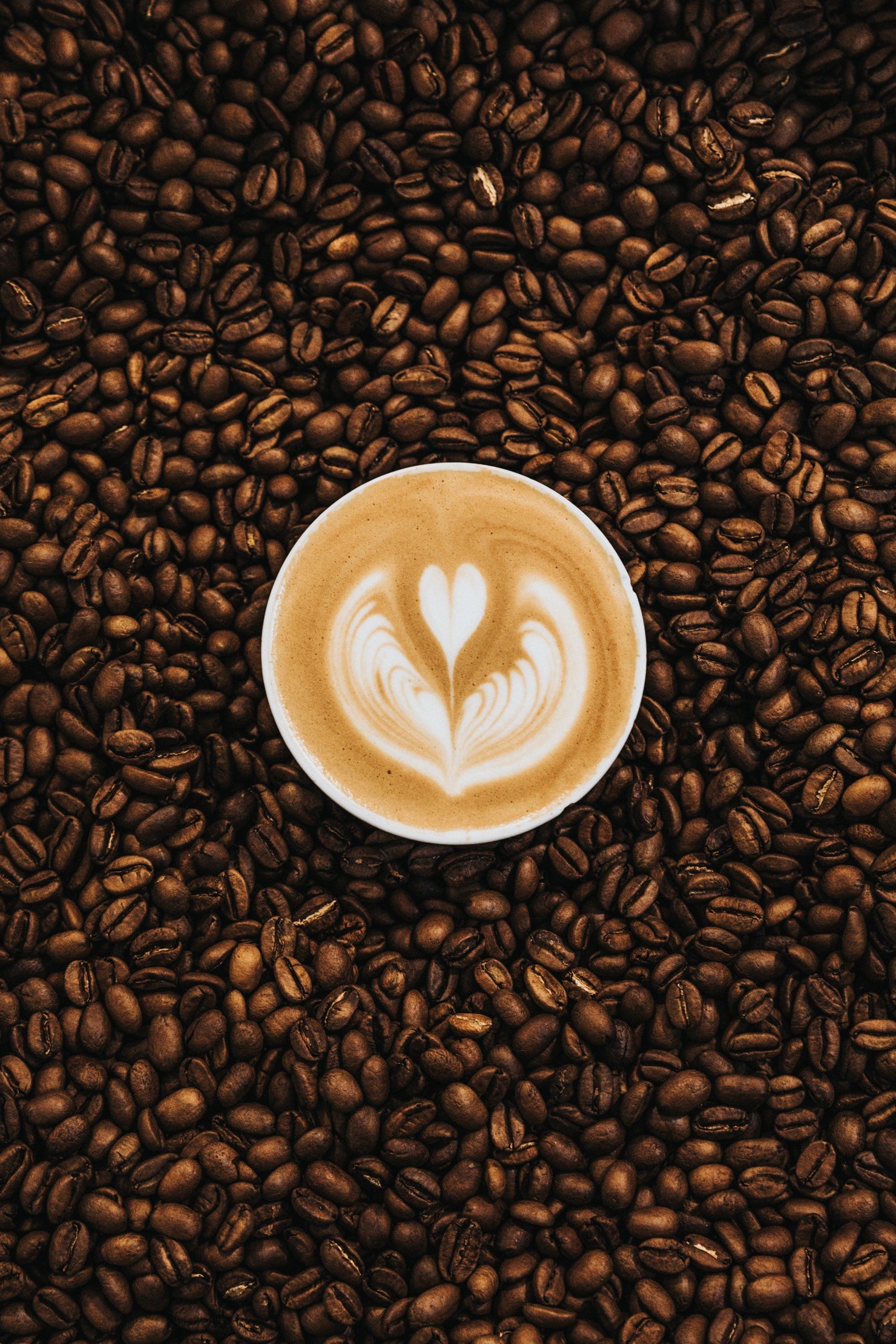 Latte Cup